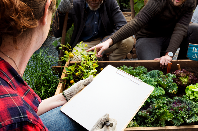 nuevos cursos jardinería, mecánica, sociosanitaria e informatica